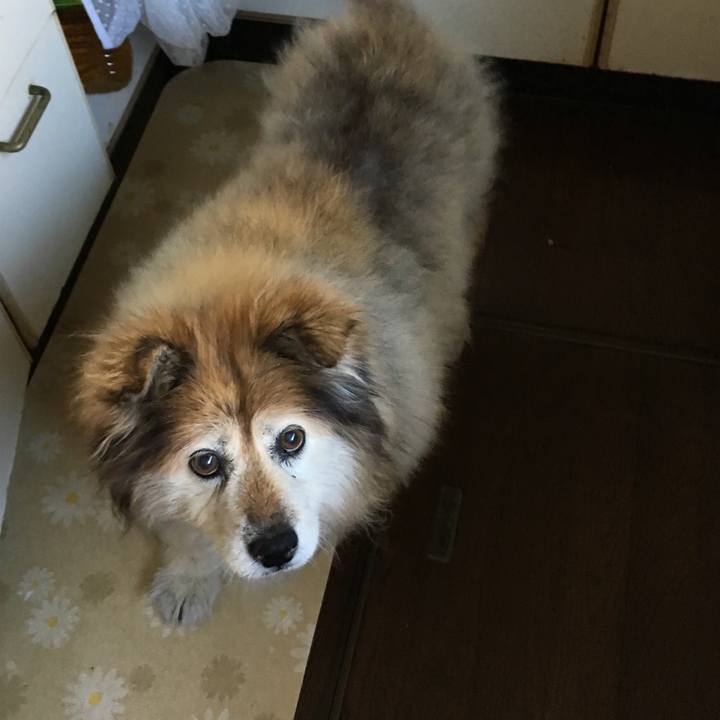 23d8133b 069d 4a61 b8b2 9cdc7607faef 1582679232896