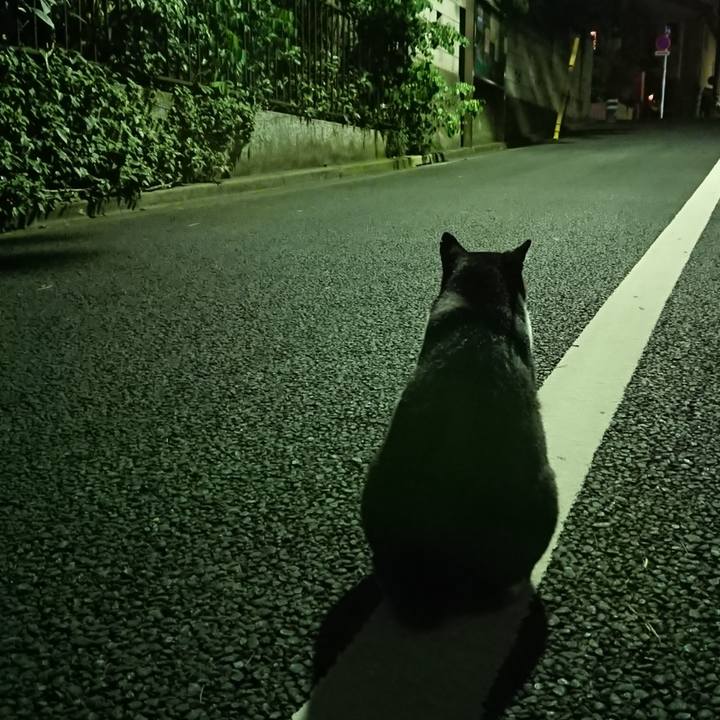 23d82b8c d981 4683 b265 9530031133ff 1532262931016