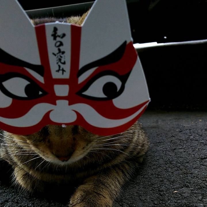 23d85638 d4f5 4320 b457 2ad38283a697 1520149044493