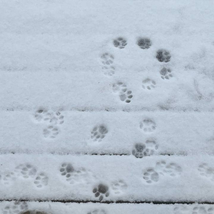 23d8cb64 621d 42d7 a569 e9d2f1ea4be6 1672094148171