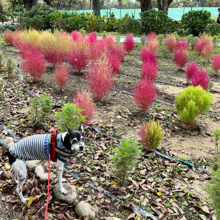 23d8d82f 72ed 47e3 9fa0 351b3d94109f 1635652844905