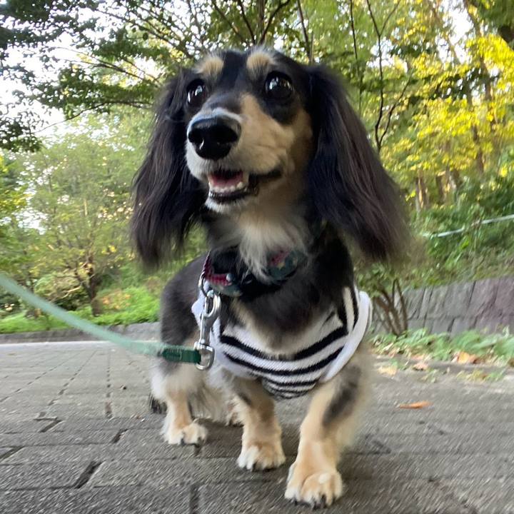 23d8d887 4673 45cd 8436 5d8350a217b7 1756865059666