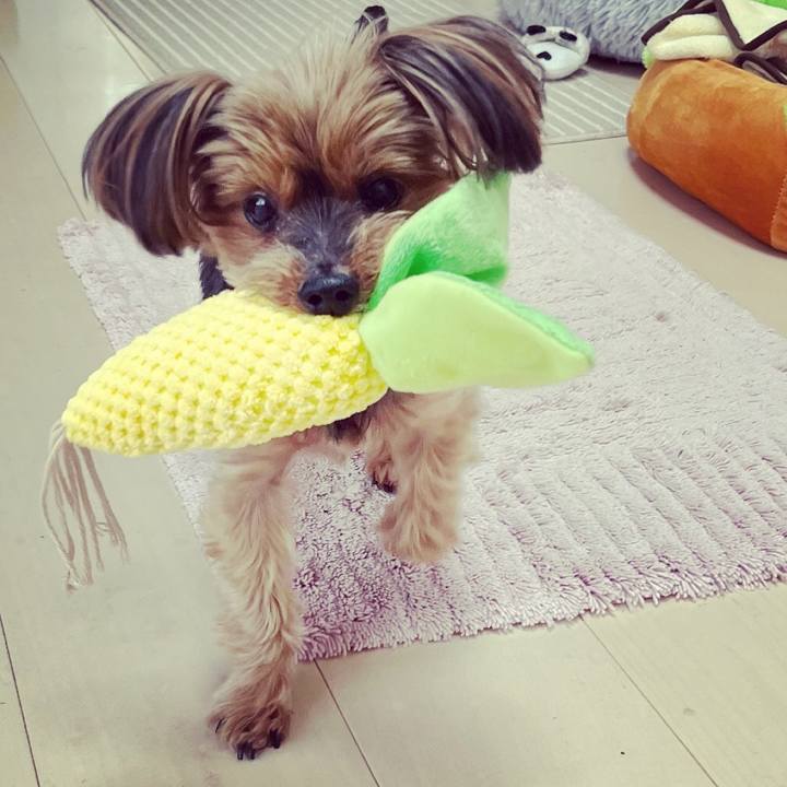 23d8ecb9 3fe9 4659 8cc2 0ab599b8efaa 1678663957088