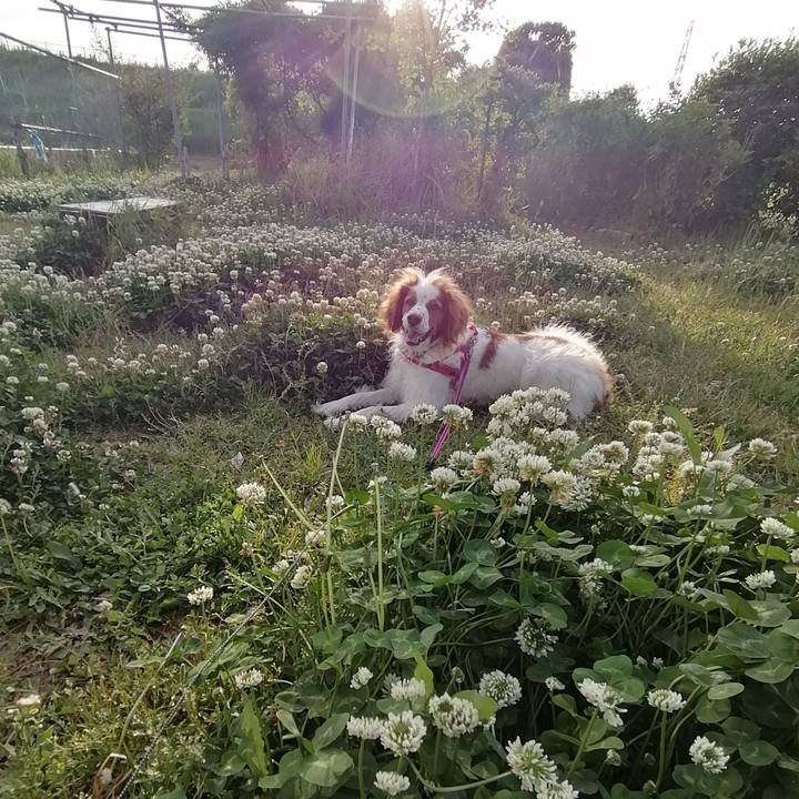 23d8ff26 9785 4452 8b8c b2c8d0045740 1589284759117