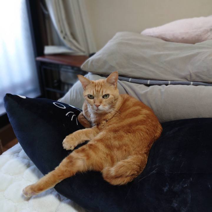 23d918e0 9a16 4f68 ae2d f8481a5fd032 1607735898378