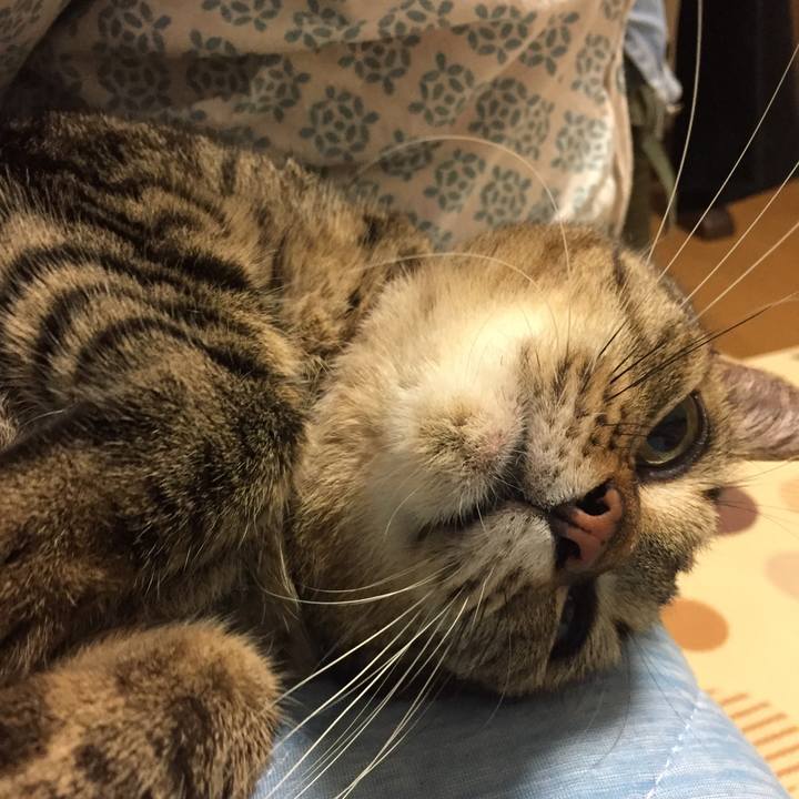 23d957bf ff3d 46fa af61 20dd8c5f2267 1508333453358