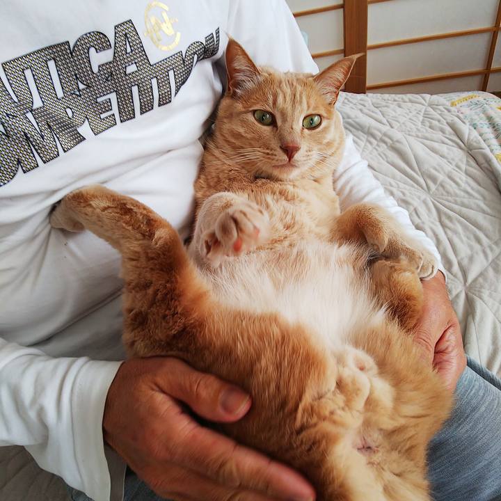 23d966a0 1f91 40f2 b7dd a5247852b6c5 1615070005780