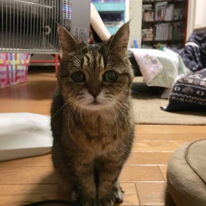 23d97a8b efb0 4853 9d05 48695e78889a 1516916721393