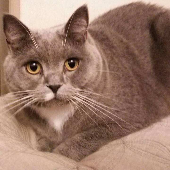 23d97abb 8738 4fea bc99 7454fcbb4d7c 1569014875900