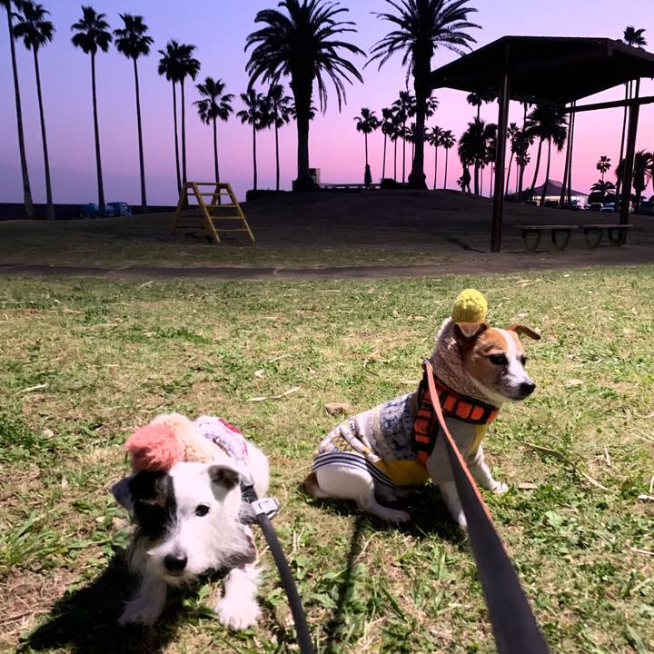 23d9887d aba7 4b84 a15e 11937f0ea66d 1637408313865