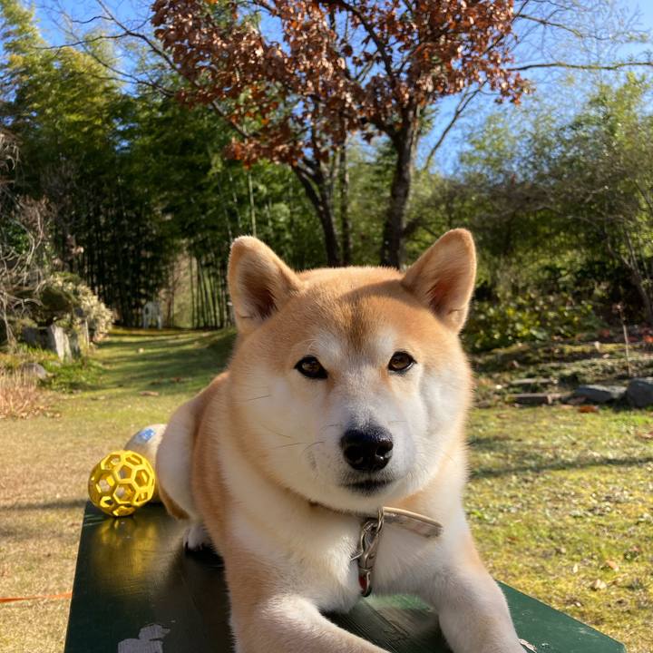 23d98c89 2d30 4f58 813d 74dc2dcb6701 1702378446504