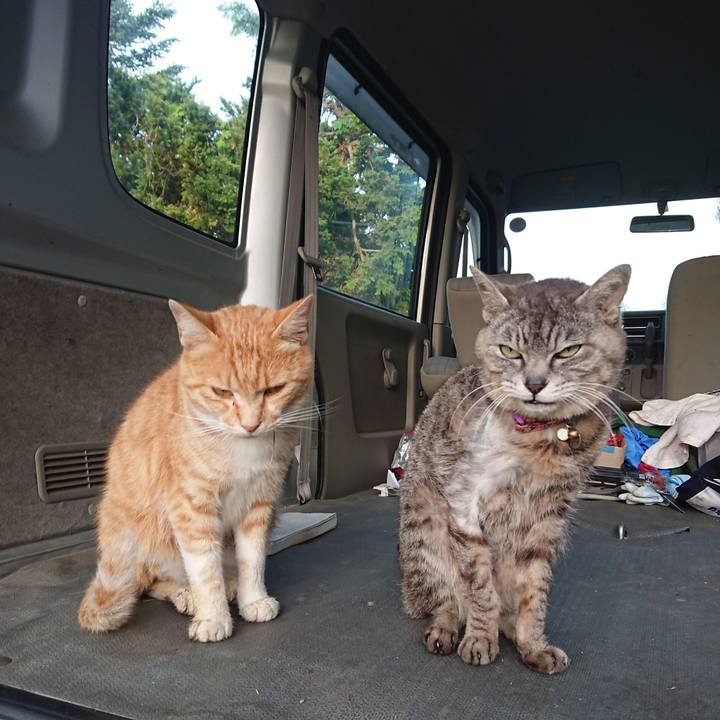 23d99473 ed07 4c97 ae62 5b745c40b31c 1592426081503