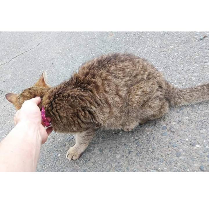 23d9b2de e0c8 40a8 9200 1f56faa75259 1626137197311