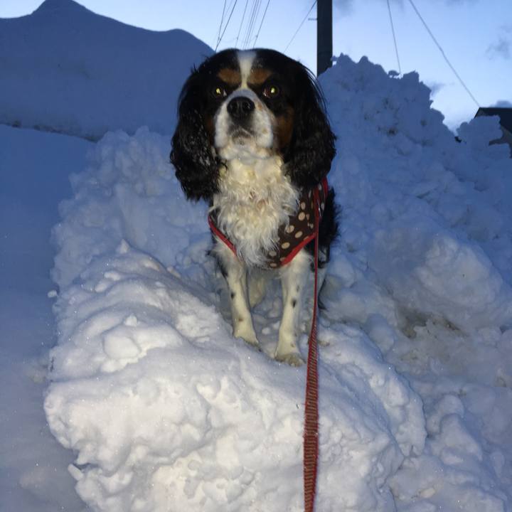 23d9cccf 7eea 48d3 b0a2 a5ed599a00e8 1518770054277