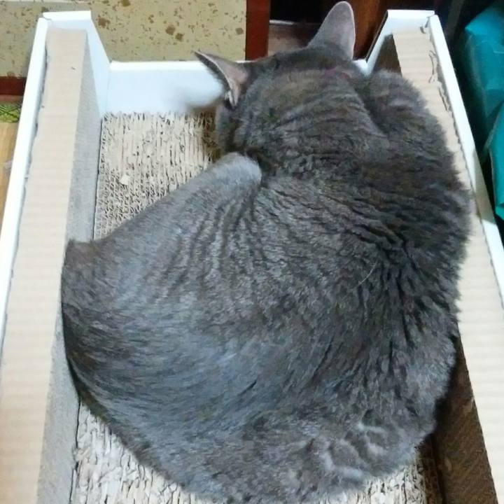 23d9e9ca 755c 44f2 b243 b2eccaef62d1 1565625956170