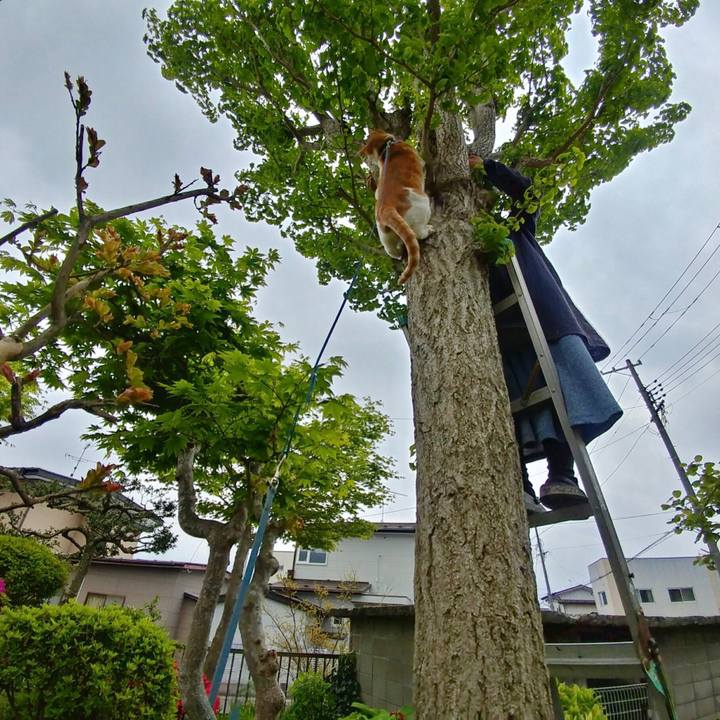 23da5c5d a97f 416f 9c13 69b08e1df937 1525248883159