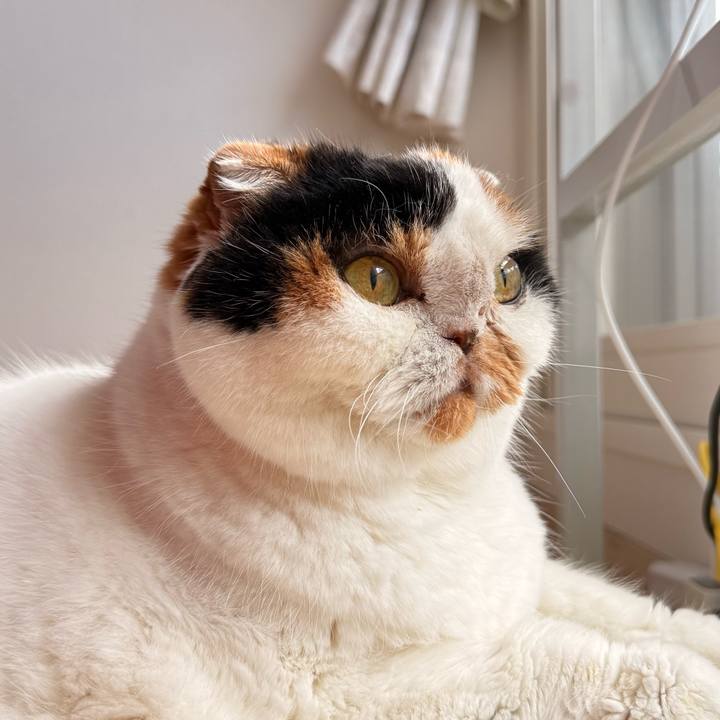 23da86dd 299b 4583 8484 53b3be70389d 1761525335167