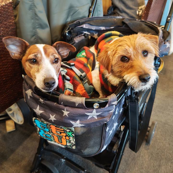 23da8c7d e95d 4789 bd25 ea8d982ce35a 1739952271992