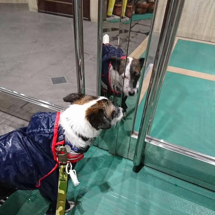 23daa576 a42f 42ec 90ad 32d5c16bcce6 1509235811248