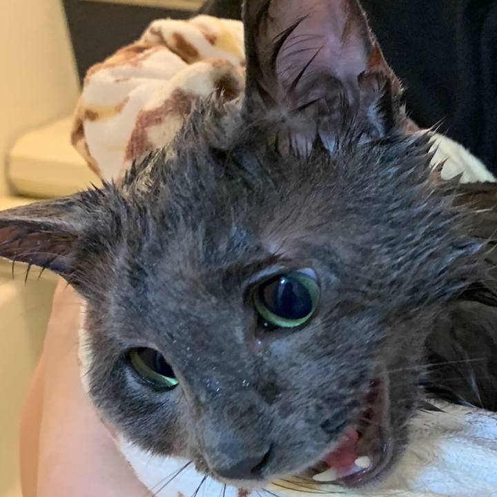 23dade0d 3121 49dc 995a c065e8c44090 1593388906442