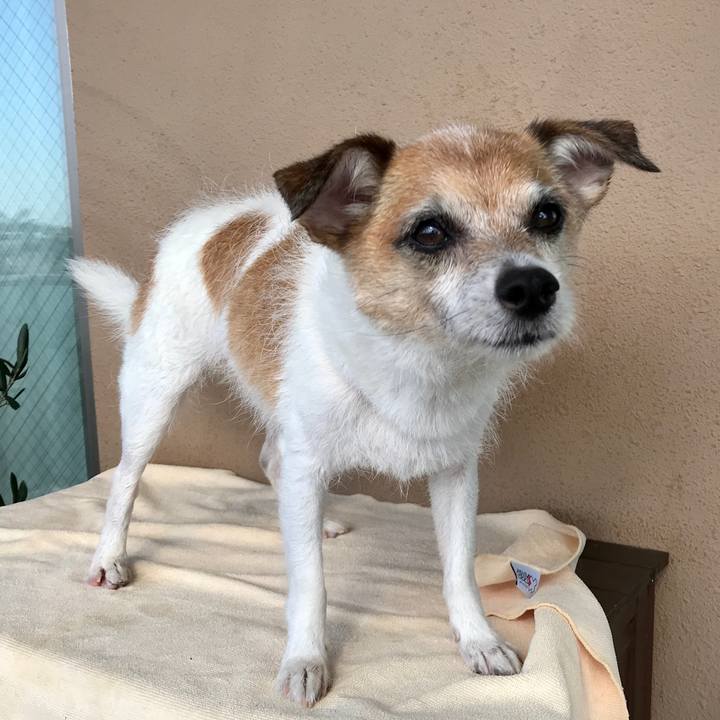 23dae664 1ca8 499f 974e 08a5efa2bc8d 1633914007715