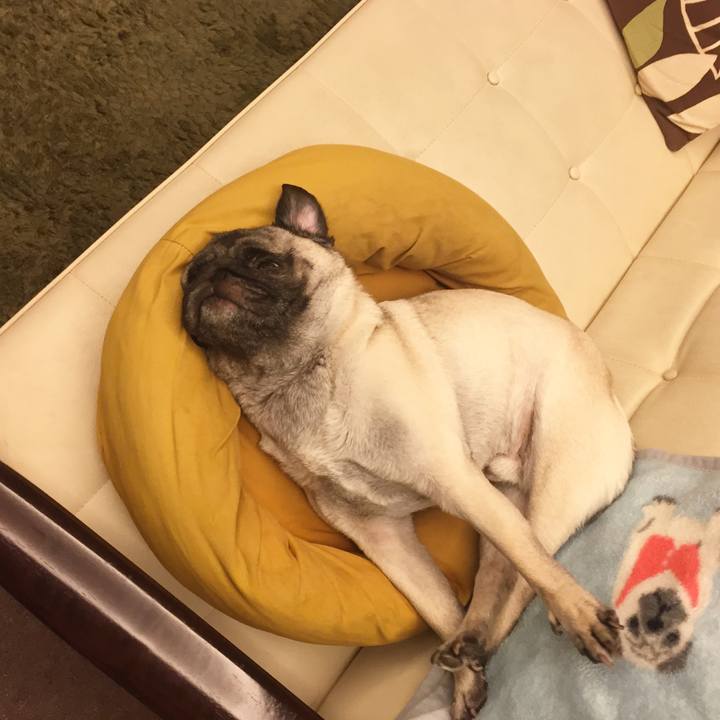 23dafacf 4f12 4e87 9ba9 8920b6d09bff 1523704985968