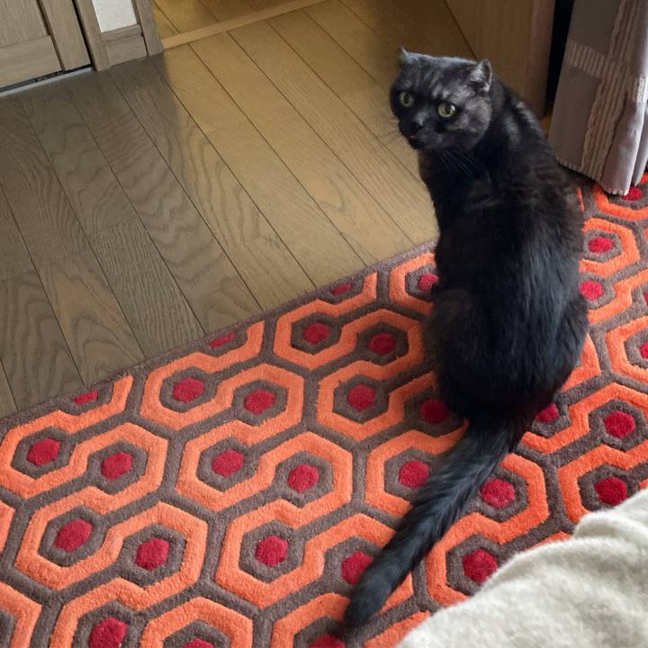 23db054e d816 4e34 bdba 205a30b71f29 1590107965910