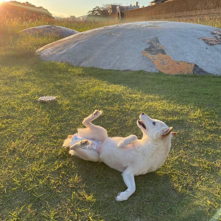 23db10ef eeb8 4760 8b03 9c332375f3ee 1666288808023