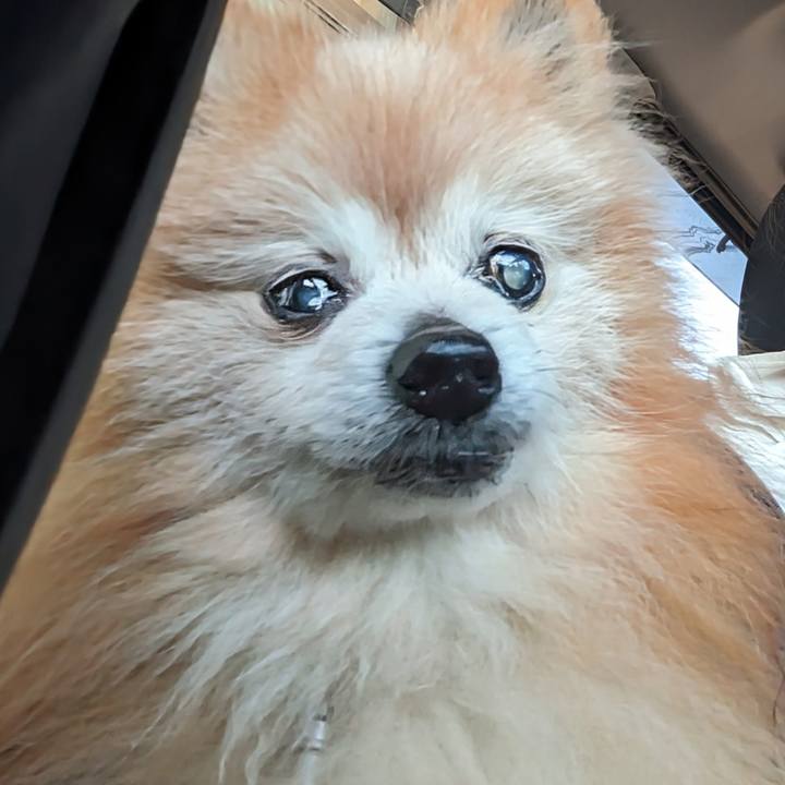 23db13d2 bd45 4d90 903d ef95ed1ee42a 1749412221195