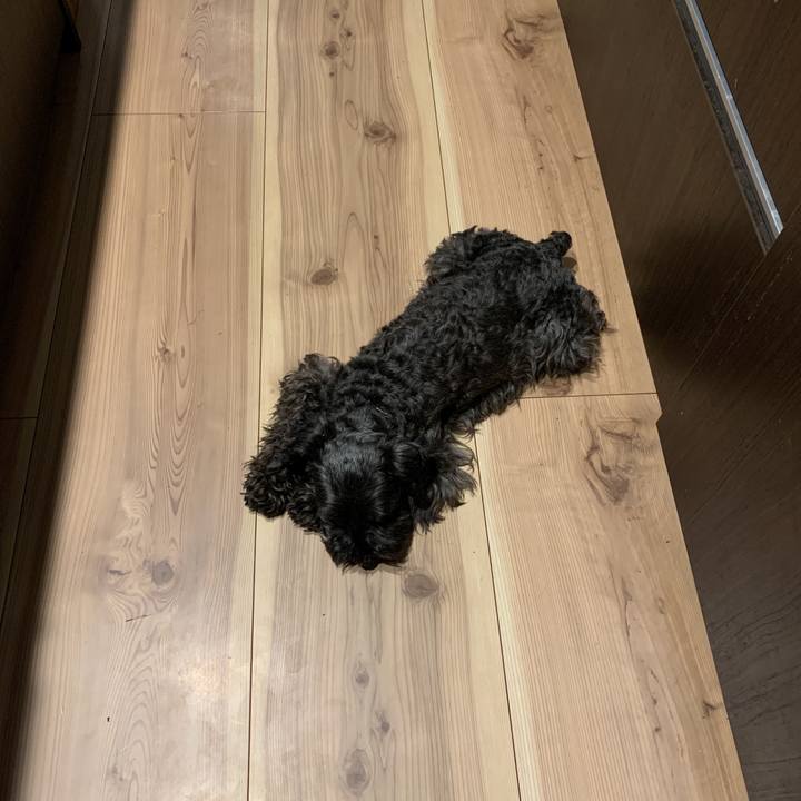 23db7e18 2a9f 405d 84af f73d8bda7aa6 1588586577247