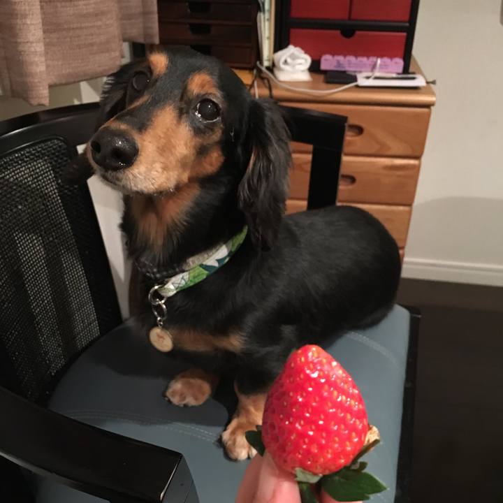 23db81b8 306f 4b12 aba9 1b5a5ced36fa 1511959696217