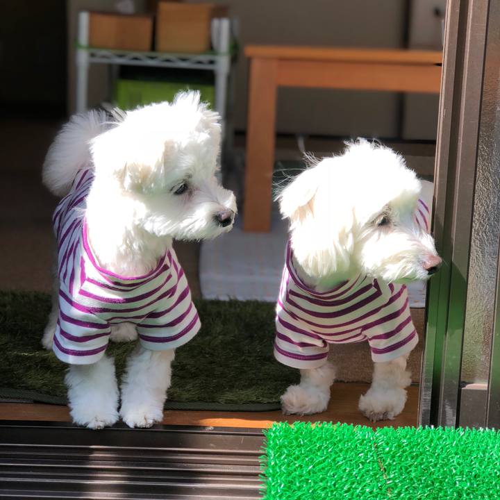 23dbe8c0 2abf 4338 825f 596dcd6c9eff 1524126499611