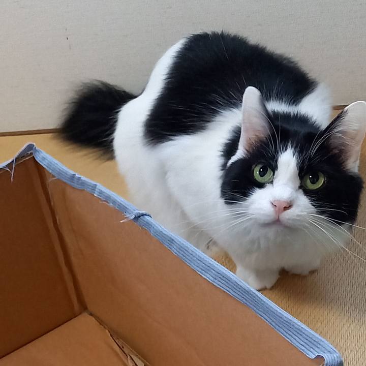 23dbf787 ee3a 4d8e a0be e36a69afee83 1647911279056