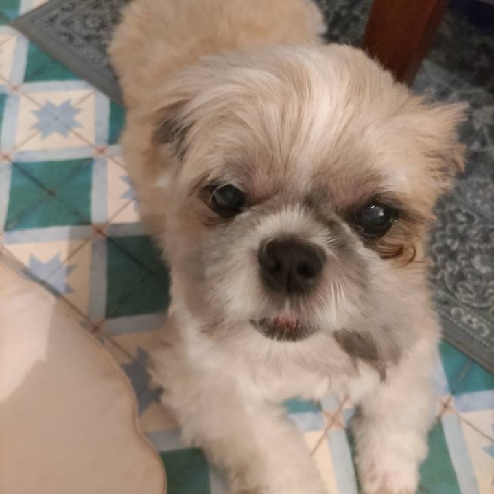 23dc0f61 15fc 45e0 bbc7 57b061ade2dd 1760754231129