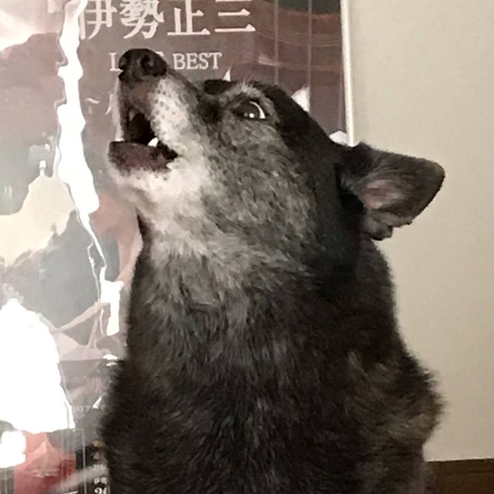 23dc6496 2a8e 4872 9713 a92ffc993c30 1540092072730