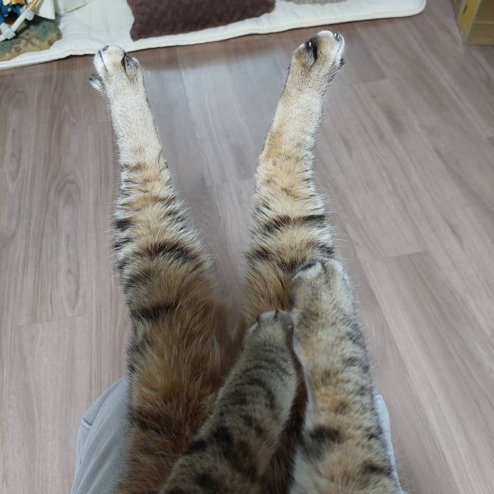 23dc81ff 3ca0 4bdc b8c7 244cd1a3431c 1771278928476