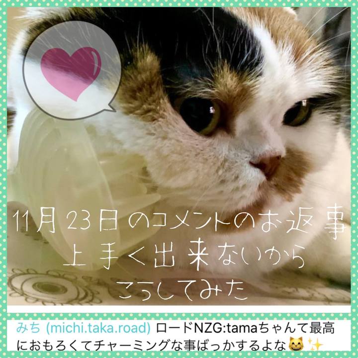 23dc9188 3f03 4447 9a33 ba27677b6a3c 1574920851026