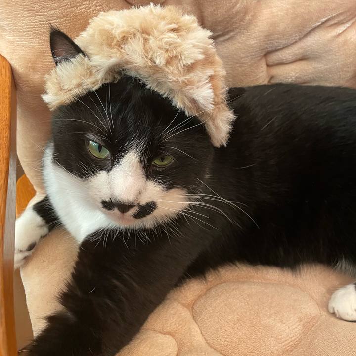 23dcb009 3395 45ba be08 3c9cf72a842e 1666737237115