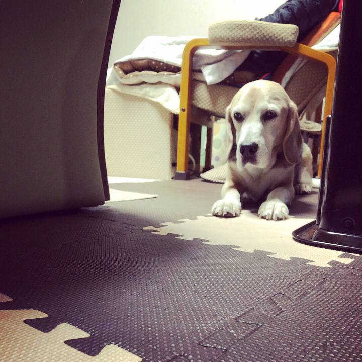 23dcca02 17d5 4462 aa45 4560a260ece3 1546583807036