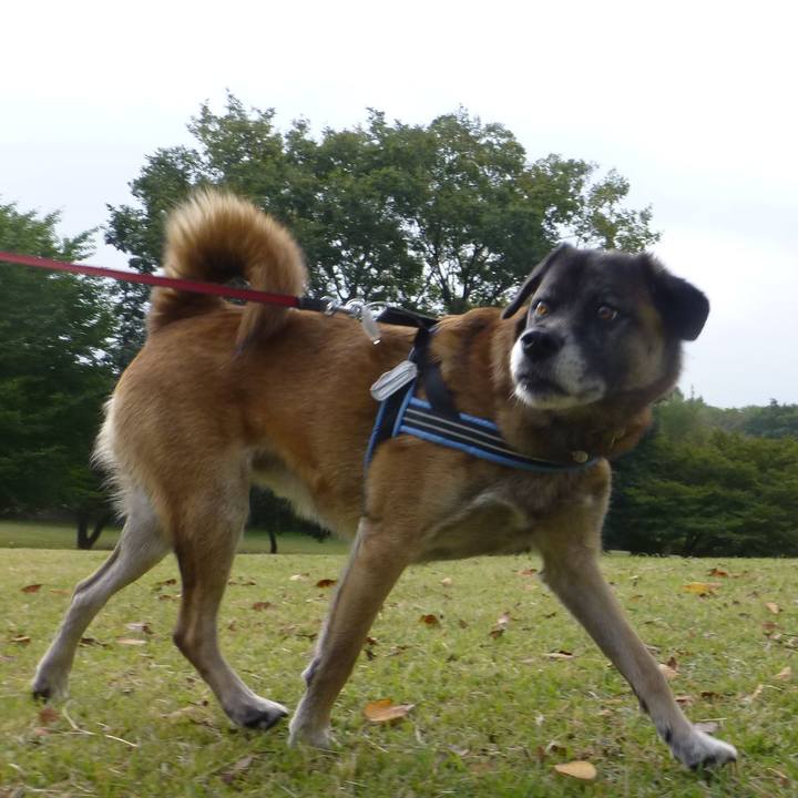 23dce886 4854 4b3d 813c 118f9a32fb38 1579171640459