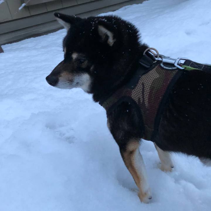 23dcf363 900d 4def 81ea 66f69fb7d6f6 1520804755331