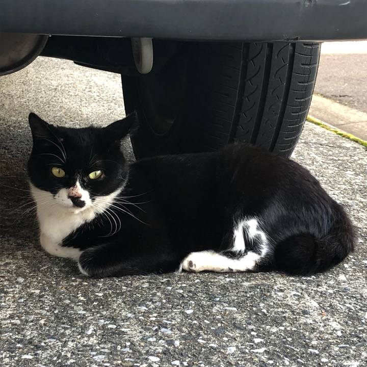 23dd0717 22ac 4c9b 92e3 e86e0e85e5b6 1538832221484