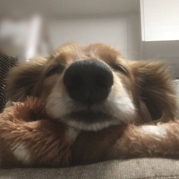 23dd8451 e42f 4f81 b876 a836202dcf5d 1613825305897