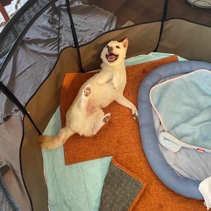 23dd8760 24f1 439e b7ae 47cdebb8b3f8 1664689910342