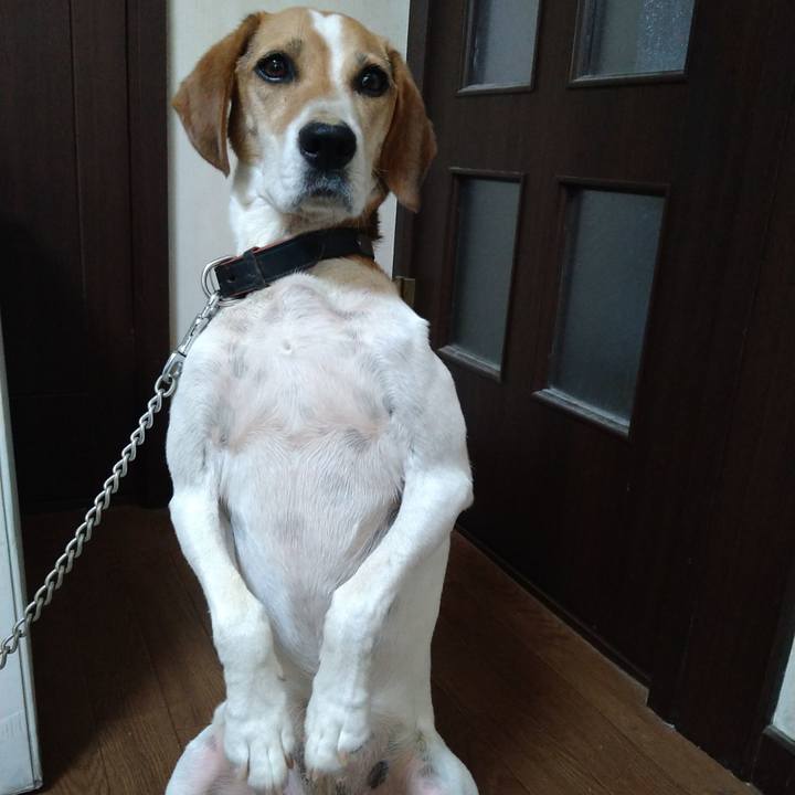 23dda610 4ac4 47e8 bf8e dce776e3aa2c 1659255424201