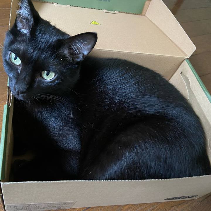 23ddc3c7 221e 4307 84f6 3b54fcd430a4 1666522705528