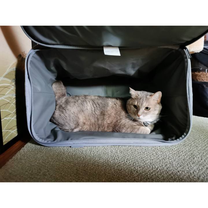 23dde627 92fa 4ae7 aab2 7ae7079eaa47 1663647405929