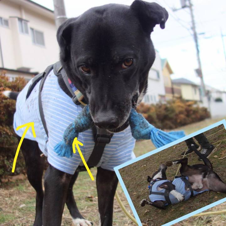 23ddedef 510b 4db8 bdf0 393cae35e0e9 1641087306690