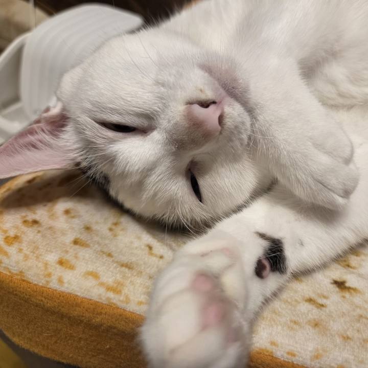 23ddf029 f56c 4b37 8df2 0a47b8d53117 1755836287353