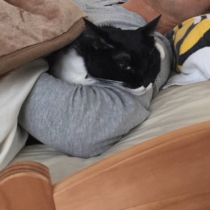 23ddf310 9907 4d9d 875b 43dbc81fc0e4 1543804960424